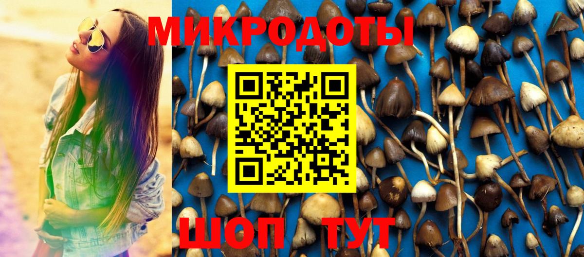 Галлюциногенные грибы прущие грибы  Вход с VPN  Псилоцибиновые грибы MAGIC MUSHROOMS  Новый Уренгой 