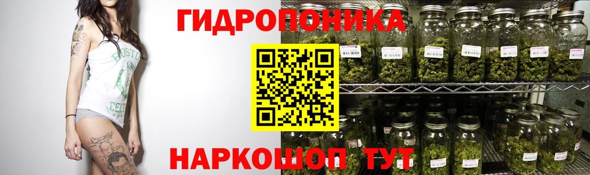 Каннабис OG Kush Новый Уренгой